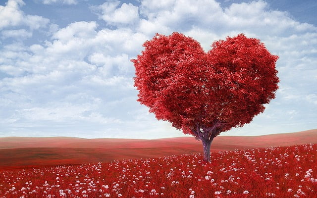 amour.