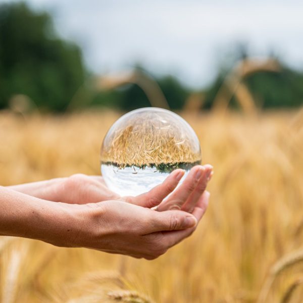 Female hands holding a crystal sphere over a wheat field with field and sky reflecting in the ball.